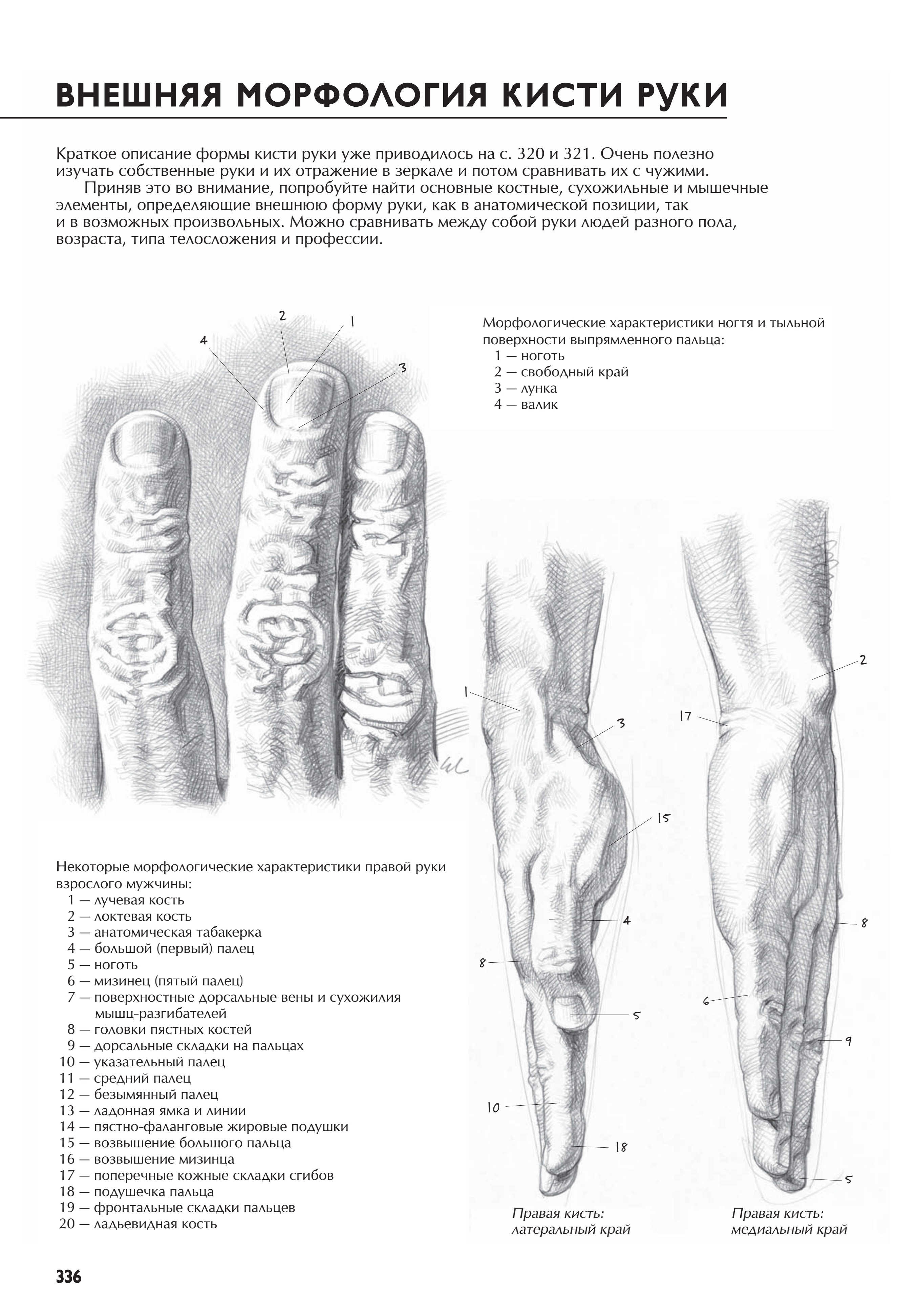 آموزش نقاشی طراحی سیاه قلم شهرری